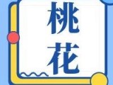 九月这几个生肖谈恋爱最顺利，天天撒狗粮，来接甜蜜好运