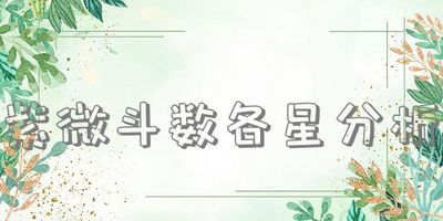 紫微斗数各星分析
