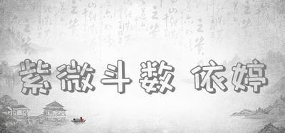 紫微斗数 依婷