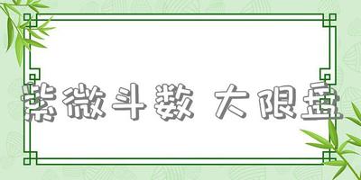 紫微斗数 大限盘