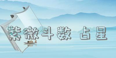紫微斗数 占星