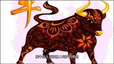 1985年属牛的人2023年运势及运程详解