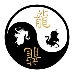 属马在2023年兔年运程