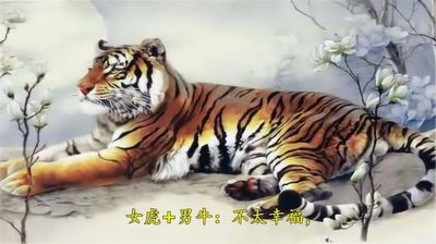 1986年属虎的女人婚配如何