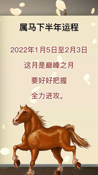 属马2023年运势
