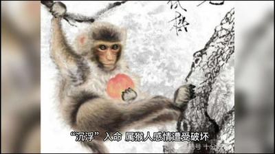 1980年属猴运程