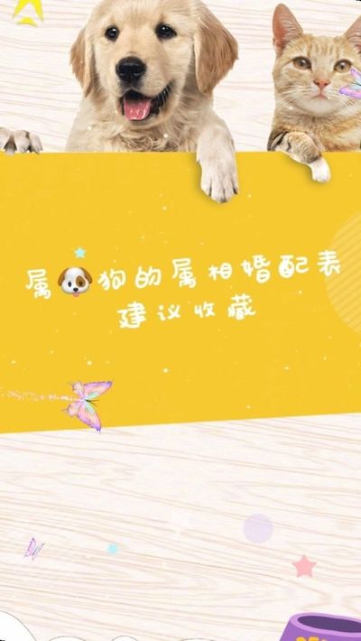属狗的2023年适合结婚的日子
