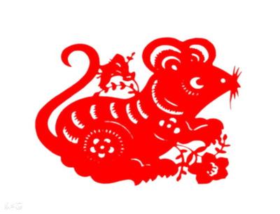 72年属鼠人今年运程