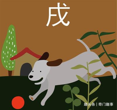 属虎与属兔的相配婚姻如何