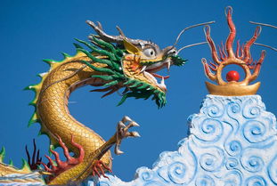 1988年属龙的2023年运程