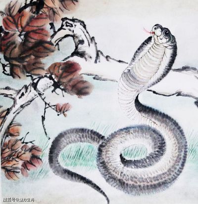 1977年10月属蛇的人是什么命