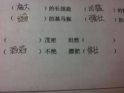 怎样看两个人的生辰八字合不合