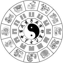 生辰八字属什么怎么看