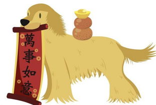 属狗的1994年婚姻