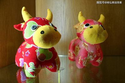 属牛的男孩和属什么的女孩合适