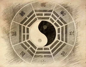 生辰八字 五行