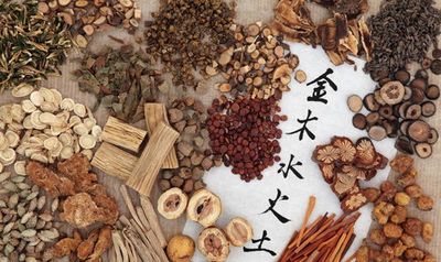 五行什么命的人不适合养花