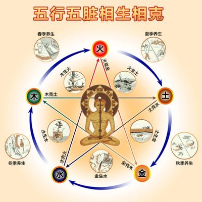 泽和的五行属性是什么