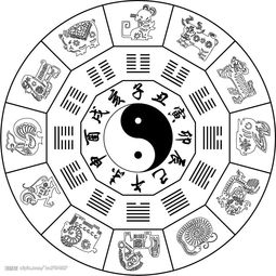 泰五行属什么,寓意是什么