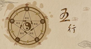 傅字姓氏五行属性