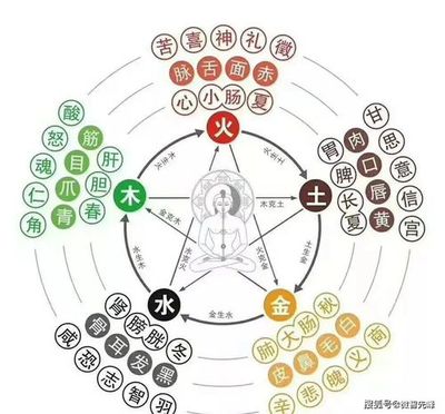 11号属什么五行缺什么名字大全