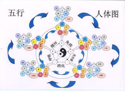 下列属于五行之土
