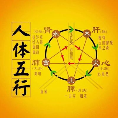 车子做保养主要做一些什么