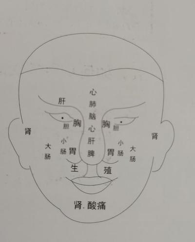 2015乙未年五行分析