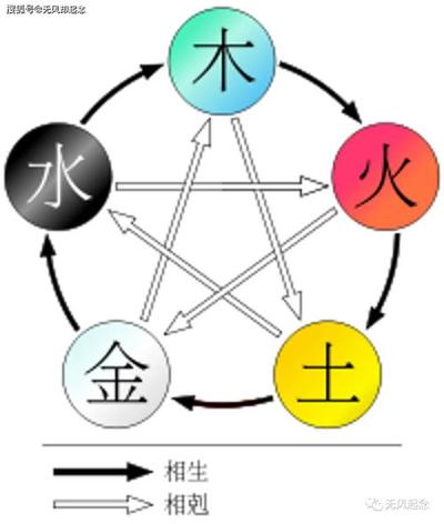 2001年属蛇的是金命还是火命