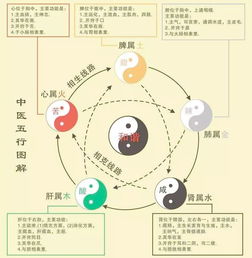 五行木水的男孩名字大全