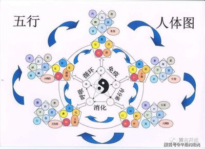 12345五行-五行之力：探索12345的奥秘与应用，引领新时代的智慧发展