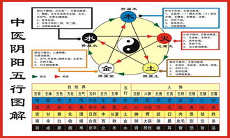 五行中李是什么属性