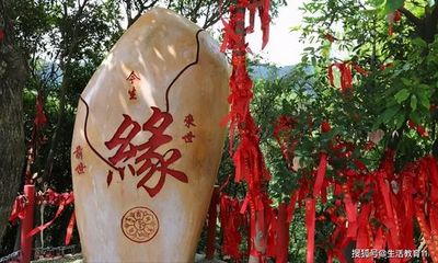 男的八字没有正财