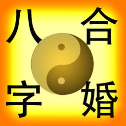 男女八字月支相同