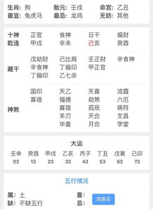 八字偏印是什么意思