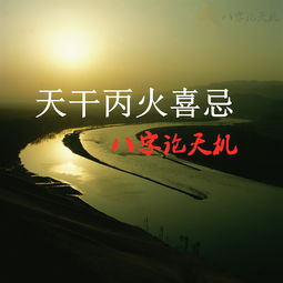 八字丙火巳时日主强