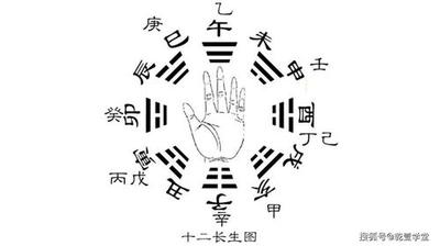 八字12长生怎样用法