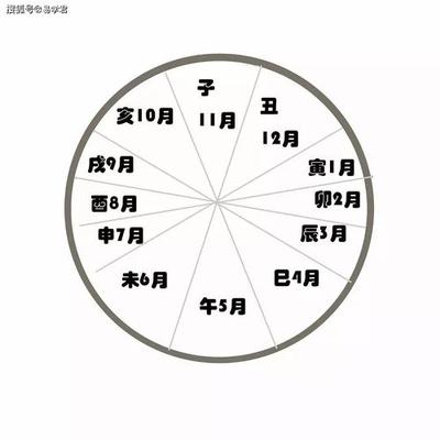 出生日期查询生辰八字免费