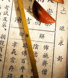 癸巳日柱生于各月的命理分析