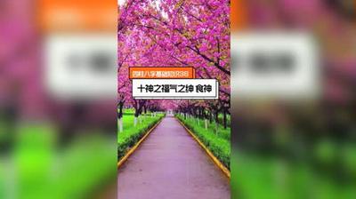 八字四柱农历1994年3月21日
