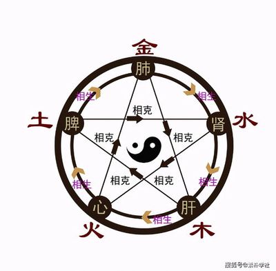 怎么经过八字算五行属什么