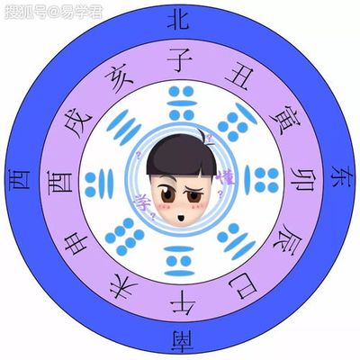 八字排盘日支在什么地方