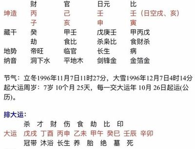 八字哪里看日支时支