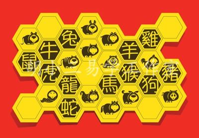 八字十二地支物象