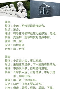 相信五行算命是不是