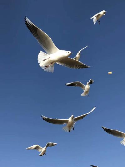 财旺身弱的八字要怎么化解