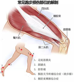 什么样的八字易生病