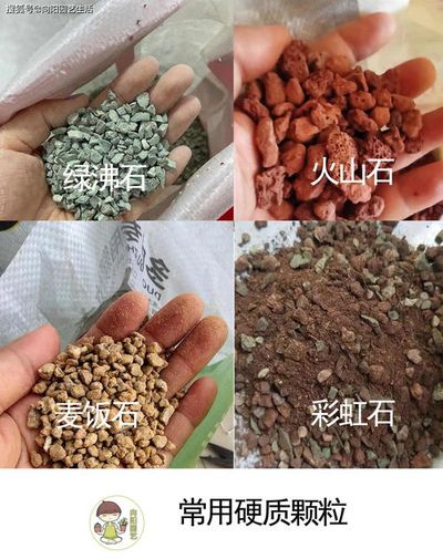 八字土多木缺怎么办
