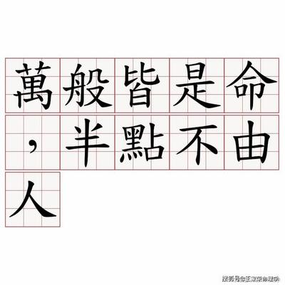 日支偏印代表配偶穷吗
