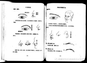 八字看配偶长相免费